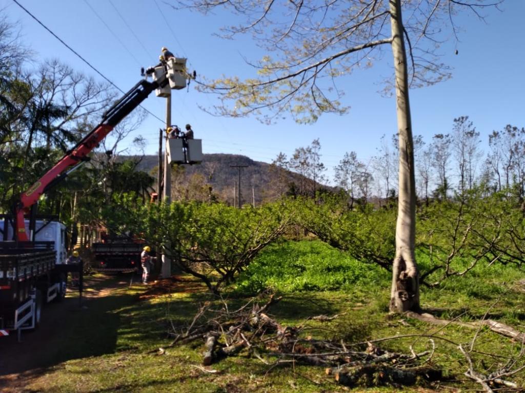 Manutenção, construção de rede trifásica e troca de postes e transformador. Itamar Ferrigo - Alvorada - PG